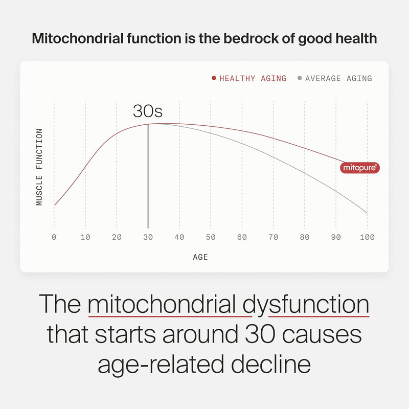 Timeline Mitopure Urolithin A - Clinically Proven Supplement for Healthy Aging and Cellular Renewal - Mitoceutical for Muscle Strength and Longevity - 60 Softgels Infinity Warehouse
