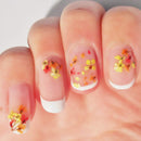ANPHSIN 4 Boxes Dried Flowers Nail Art- 48 Colors Mini Natural Real Dry Flowers 3D Applique Art Resin Art Supplies with Tweezers for Nail Decoration Sticker Nail Tips Manicure ANPHSIN