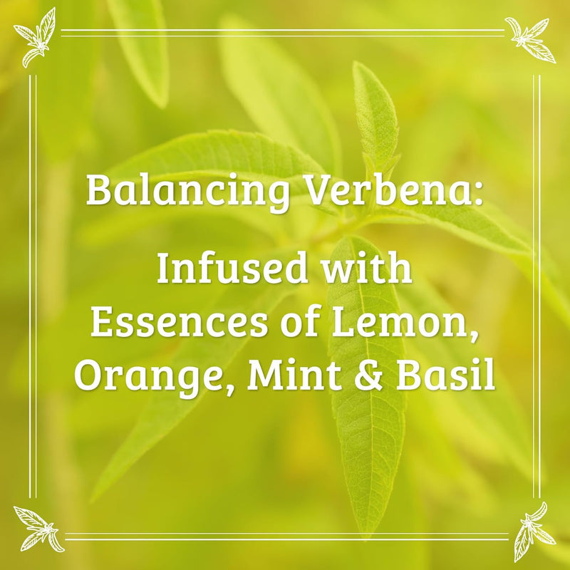 Pharmacopia Verbena Shampoo - Natural Hair Care with Plant Based & Organic Ingredients Aloe Vera, Jojoba Oil, Coconut Oil, and Chamomile Extract - Vegan, Cruelty Free, No Parabens or Sulfates, 16 oz Infinity Warehouse