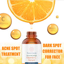 Vitamin C Serum For Face Aloe Vera & Fruit Extracts Acne Spot Treatment Sun Spot Corrector For Face Under Eye Treatment Toner For Face Compare With Under Eye Cream Anti Aging Serum 2 oz Nova Lucia