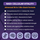 NAD+ Resveratrol Complex Gummies, 500mg of TMG, (45 Servings), Quercetin, Curcumin, Berberine & Antioxidants | Advanced Plant-Based Formula for Daily Cellular Balance & Longevity Nutrition Infinity Warehouse
