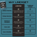 Lineage Provisions 100% Grass Fed Collagen Powder UNFLAVORED – Hydrolyzed Bovine Collagen Peptides with Trachea, Scapula, Eggshell Membrane – Collagen Protein Powder with Vitamin C – 30 Servings Infinity Warehouse