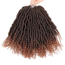 6 Packs Bomb Twist Crochet Hair 12 Inch Spring Twist Crochet Braids Pre-looped Mini Passion Twist Braiding Hair Senegalese Spring Twist Nubian Twist Kinky Curly Synthetic Hair Extensions (T30