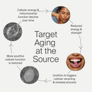 Timeline Mitopure Urolithin A Supplement Gummies - Clinically Proven Support for Healthy Aging and Cellular Renewal - Mitoceutical for Muscle Strength and Longevity Infinity Warehouse
