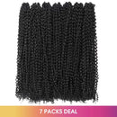 Toyotress Passion Twist Hair - 24 Inch 7packs Natural Black Water Wave Crochet Braids Synthetic Braiding Hair Extensions (24 Inch 7Packs, 1B) ToyoTress Store