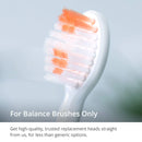 GreaterGoods Sonic Electric Replacement Heads, 3 Count for S/E Toothbrush, Only Works with gG Toothbrushes (Soft) Greater Goods
