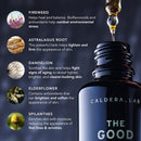 Caldera + Lab Men’s Skincare Set – The Regimen Rich: Cleanser, Moisturizer & Night Serum | Hydrating, Firming & Smoothing | Niacinamide, Clean, All Skin Types Infinity Warehouse