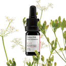 Odacite Acne Treatment And Pimple Serum Concentrate For Face Skincare - Bl+C, Black Cumin & Cajeput - Lightweight & Purifying Facial Oil with Vitamin A & Natural Ingredients - 0.17 Fl. Oz ODACITE