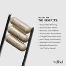 WELLBEL Men Clean Supplement for Hair, Skin, and Nails, Vegan, Gluten Free and Non GMO 90 Count - 3 Pack Infinity Warehouse