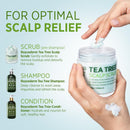 Roycederm Tea Tree Antifungal Scalp Care Set – Pre-Shampoo Scrub + Tea Tree Antifungal Shampoo + Hydrating Conditioner – Itchy & Dry Scalp Relief, Dandruff & Folliculitis Treatment Infinity Warehouse