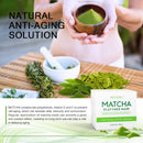 SHVYOG Matcha Green Tea Face Mask, Antioxidant Detox Face Mask with Volcanic Mud, Deep Cleansing & Moisturizing & Hydrating Facial Mud Mask for Acne, Blackheads, Pores, Wrinkles SHVYOG Store