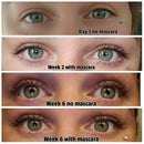 Liaison Lash Bond Eyelash Growth Serum and Liaison Brow Bond Eyebrow Growth Serum Liaison