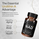 Miracle NAD with Urolithin A Supplement, Nicotinamide Riboside NR, NAD+, Trans Resveratrol for Men and Women - Healthy-Aging, Cellular Energy & Repair - 3rd Party Tested - 60 Capsules Infinity Warehouse