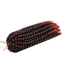 1 Pack Spring Twist Braiding Hair Spring Twists Bomb Twist Hair Synthetic Fiber Fluffy Twist Crochet Braids Low Temperature Twist Crochet Hair for Black Women Braiding Hair(8inch,T1B/350) Liyate Store