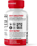 Nutri Urolithin A Diacetate 500mg - Cellular Energy - 30 Caps Infinity Warehouse