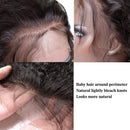 Body Wave Human Hair Wigs for Black Women 4x4 Lace Closure Wig Brazilian Human Hair Pre Plucked with Baby Hair 150% Density Natural Hair Line 14 inch Daenerys