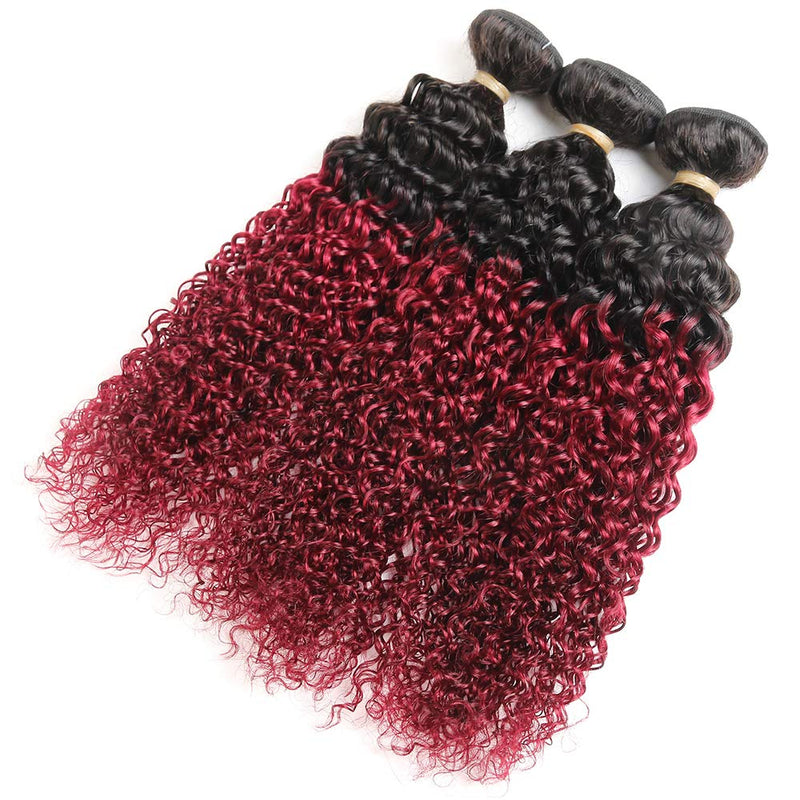 Ombre Dark Red Curly Weave Human Hair 3 Bundles 99J Brazilian Curly Hair 100g/Bundles Burgundy Kinky Curly Human Hair Extensions for Black Women (10"12"14") ALISFEEL