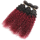 Ombre Burgundy Brazilian Curly Hair 3 Bundles with Closure, Dark Red Two Tone Curly Weave Human Hair Extensions, 99j Afro Kinki Curl Hair Weaving (20"22"24"+Closure18") ALISFEEL