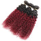 Ombre Burgundy Brazilian Curly Hair 3 Bundles with Closure, Dark Red Two Tone Curly Weave Human Hair Extensions, 99j Afro Kinki Curl Hair Weaving (20"22"24"+Closure18") ALISFEEL