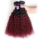 Ombre Dark Red Curly Weave Human Hair 3 Bundles 99J Brazilian Curly Hair 100g/Bundles Burgundy Kinky Curly Human Hair Extensions for Black Women (12"14"16") ALISFEEL