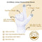 EvridWear Unisex Moisturizing Cotton Gloves with Touchscreen Fingertips for Eczema Beauty Cosmetic Dry Hands Sensitive Irritated Skin Therapy Overnight Bedtime, 6 Pairs, Lightweight-White, S/M Evridwear