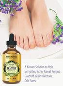 100% Pure Australian Tea Tree Essential Oil with high conc. of Terpinen - A Known Solution to Help in Fighting Acne, Toenail Issues, Dandruff. (1 fl oz) First Botany