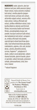 Burt's Bees Brightening Dark Spot Corrector, 1 fl oz Burt's Bees