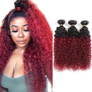 Ombre Dark Red Curly Weave Human Hair 3 Bundles 99J Brazilian Curly Hair 100g/Bundles Burgundy Kinky Curly Human Hair Extensions for Black Women (10"12"14") ALISFEEL