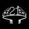 BABEYOND Crystal Birthday Tiara Crown Princess Birthday Crown Hair Accessories Happy 21st Birthday Crown Tiara for Women (21 Birth) BABEYOND