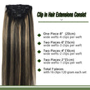 GOO GOO Remy Human Hair Extensions Clip in Balayage Natural Black to Light Blonde 14 inch 7pcs 120g Real Hair Extensions Clip in Natural Hair Extensions Silky Straight GOO GOO Store