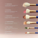 BERRY GOODS 12-Piece Makeup Brush Set with Microcrystalline Silk Fibers – Ultra-Soft, Vegan & Cruelty-Free Face & Eye Brushes with Travel Case (BERRY Blue) Infinity Warehouse