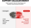 Urolithin A Supplement, 2000mg 6 in 1 Vital Longevity Blend - 120 Softgels | with Liposomal NAD+, CoQ10, Trans-Resveratrol, TMG, PQQ丨for Cellular Renewal* & Healthy Aging*, Mitochondrial Support* Infinity Warehouse
