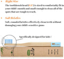 GoWoo 100% Natural Bamboo Toothbrush Soft - Organic Eco Friendly Toothbrushes with Soft Nylon Bristles, BPA-Free, Biodegradable, Dental Care Set for Children, (Pack of 4, Kids, Rainbow) GoWoo Store