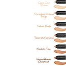 treStiQue Tinted Face Stick, Tinted Moisturizer with Built-In Foundation Sponge, Medium Coverage Foundation, Tinted Moisturizer Face Stick, Foundation Makeup TRE'STIQUE