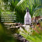natura - Ekos Açaí Revitalizing Body Lotion Refill - Vegan Skin Care - 24 Hours of Soft Skin - Improves Skin Elasticity - Acai Oil - Brazilian Beauty Secrets - Body Care - 13.5 fl oz (400ml) Infinity Warehouse