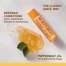 Burt's Bees 100% Natural Moisturizing Lip Balm, Freshly Picked Beeswax, Cucumber Mint, Watermelon, & Sweet Mandarin, 4 Tubes Burt's Bees
