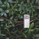 Mr. Gladstone Solid Cologne, Trevelin Mr. Gladstone