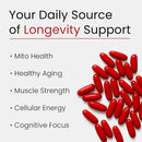Urolithin A Supplement with NAD, Resveratrol, CoQ10, PQQ – 5-in-1 Longevity Complex to Support Healthy Aging, Mitochondrial Energy, Cellular Renewal, Cognitive Function, Muscle Health – 2 Month Supply Infinity Warehouse