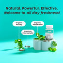 DEOS Internal Deodorant Supplement – Full Body Deodorizer for Gut Health, Skin Health, Detox & Digestion Support – Natural Odor Control Chlorophyll Pills for Head-to-Toe Freshness | 30 Capsules Infinity Warehouse