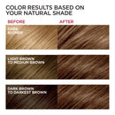 L'Oreal Paris Excellence Creme Hair Color, Medium Golden Brown (Pack of 3) L'Oreal Paris