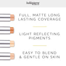 bellapierre Foundation Stick | Smooth, Flawless Satin Finish | Sheer Coverage | Conceals Pores and Imperfections | Non-Toxic and Paraben Free | Great for Travel Compact Tube - 0.35 Oz. (Light) bellapierre