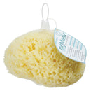 Neptune Natural Sea Wool Sponge - All Natural Honeycomb Renewable Sea Sponge, Jumbo, 6.5-7.5 inches Neptune Natural