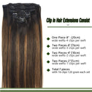 GOO GOO Clip in Human Hair Extensions Ombre Dark Brown to Chestnut Brown 20 Inch 7pcs 120g Clip in Hair Extensions Human Hair Straight Real Natural Hair Extensions GOO GOO Store