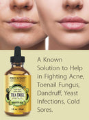 100% Pure Australian Tea Tree Essential Oil with high conc. of Terpinen - A Known Solution to Help in Fighting Acne, Toenail Issues, Dandruff. (1 fl oz) First Botany