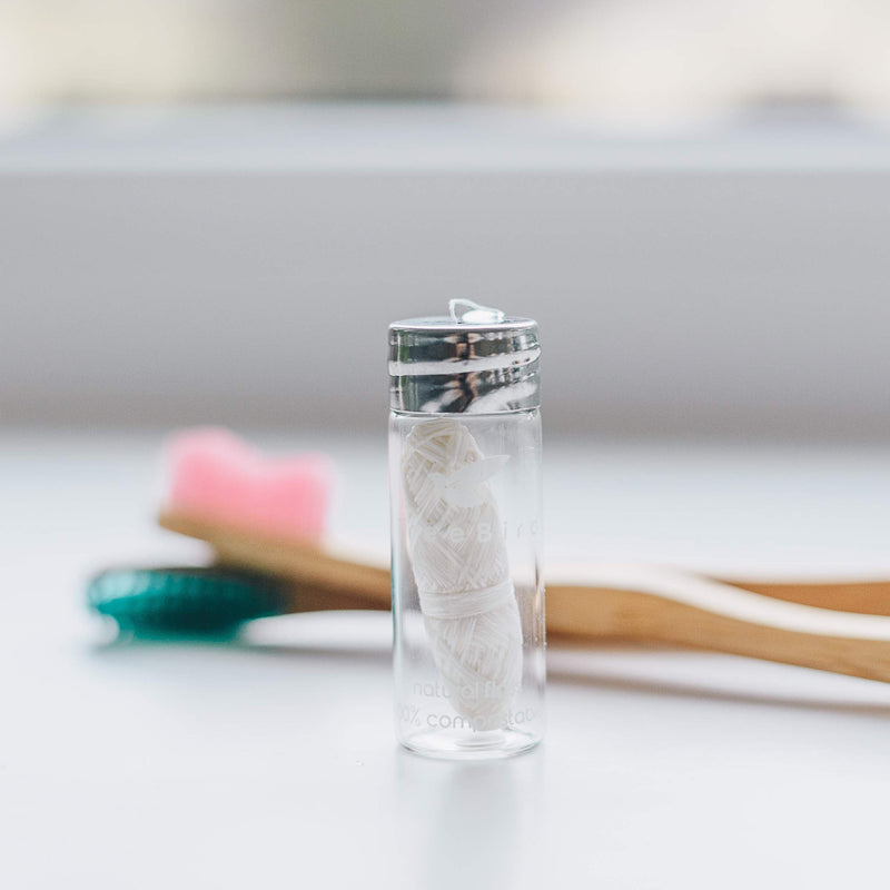 Biodegradable Dental Floss with a Refillable Glass Holder | Naturally Waxed with Candelilla Wax | 100% Compostable | 33yds/30m Natural Silk Spool | Eco-Friendly Zero Waste Oral Care | Mint Flavored TreeBird Eco Dental