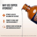 Sovereign Copper Bio-Active Copper Hydrosol, 16 fl oz (473 mL) Infinity Warehouse