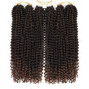 24Inch Passion Twist Hair 6 Packs Water Wave Crochet Braids for Butterfly Locs Hair Synthetic Crochet Braiding Hair Goddess Locs Long Bohemian Locs Hair(24 Inch, 1B/T30) VETYES