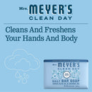 Mrs. Meyer's Clean Day Bar soap, rainwater Scent, 5.3 Ounce bar (Pack of 4), 21.2 Ounce MRS. MEYER'S CLEAN DAY Store