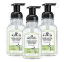 J.R. Watkins Foaming Hand Soap Pump with Dispenser, Moisturizing Hand Soap Foam, Alcohol-Free, Cruelty-Free, , Use for Kitchen or Bathroom, Eucalyptus, 9 fl oz,3 Pack Infinity Warehouse