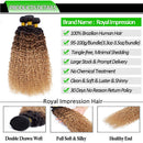 12A Ombre Brazilian Virgin Curly Hair 3 Bundles (T1B/30/27,22" 24" 26") Ombre Virgin Remy Kinky Curly Human Hair Weave Bundles 100% Unprocessed Virgin Remy Hair Bundles 3 Tone Ombre Bundles ROYAL IMPRESSION